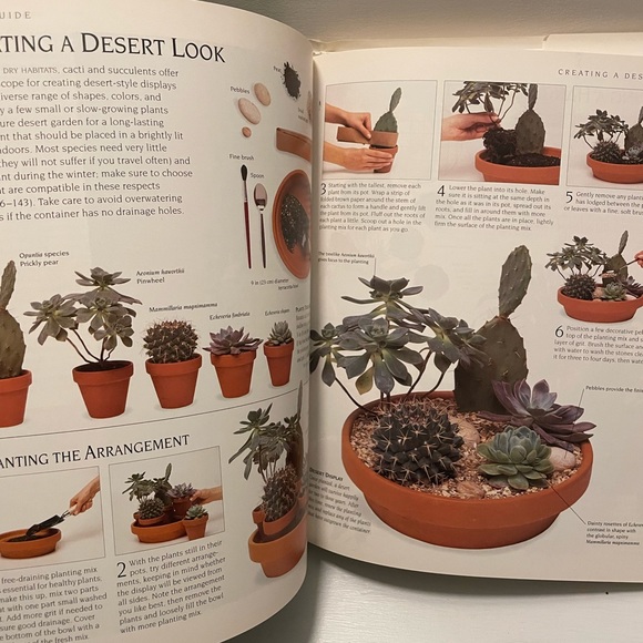 The Complete book of cactus & succulents - Picture 3 of 5